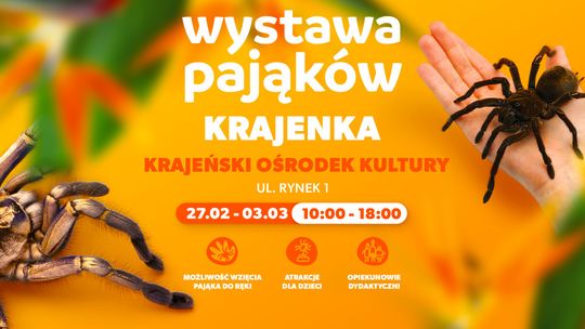 Czy cierpisz na arachnofobię? W Krajence będzie dużo pająków!