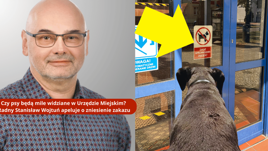 Czy psy będą mile widziane w Urzędzie Miejskim? Radny Stanisław Wojtuń apeluje o zniesienie zakazu