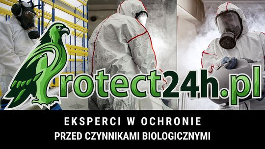 Deratyzacja Wrocław – kto powinien z niej skorzystać?
