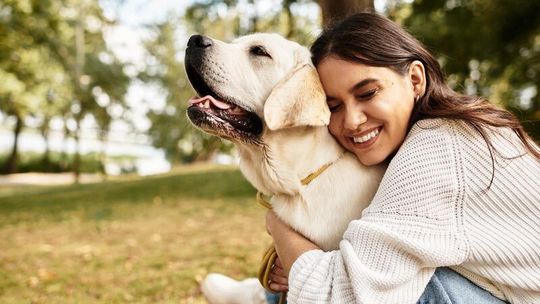 Hotel dla psów Poznań – jak wybrać najlepsze miejsce dla swojego pupila Hotel dla psów Poznań – jak wybrać najlepsze miejsce dla swojego pupila