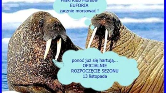 Inauguracja sezonu Morsowego