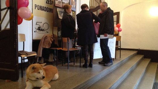 Kobiety kochają zwierzęta !