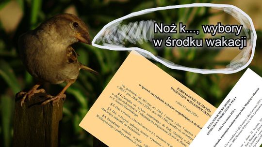 Nie tylko zwolennicy Pieniążkowskiego muszą przełożyć wakacje!