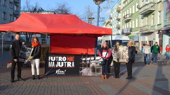 Ogólnopolska Kampania Anty-Futro w Pile 