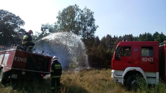 Pożar lasu pod Szamocinem