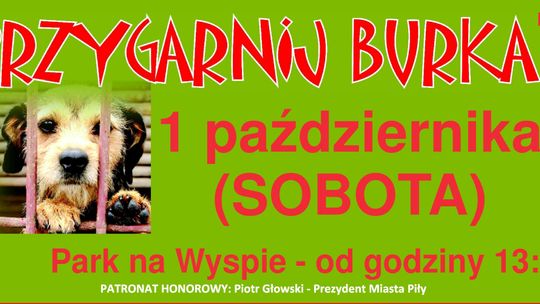 Przygarnij Burka