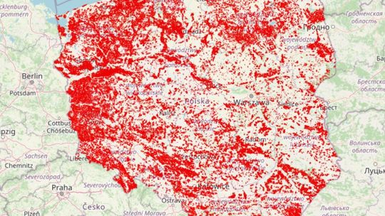 Spór o wycinkę lasów. Jak wygląda rzeczywistość na Złotowszczyźnie?