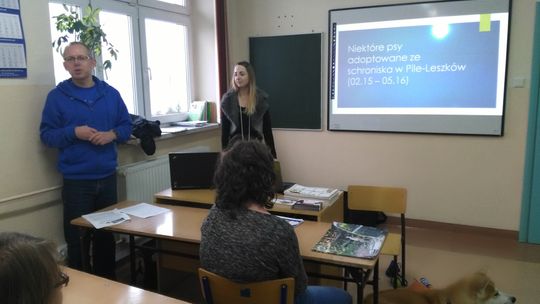 Spotkanie na temat bezdomnych zwierząt