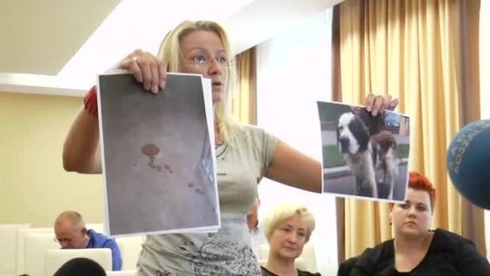 Złe traktowanie i fatalne warunki bytowe zwierząt zarzucają wolontariusze właścicielowi schroniska. Co Wy o tym myślicie? 