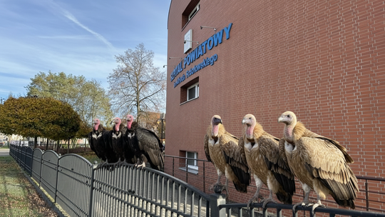 Złotowski szpital w cieniu ministerialnych planów?