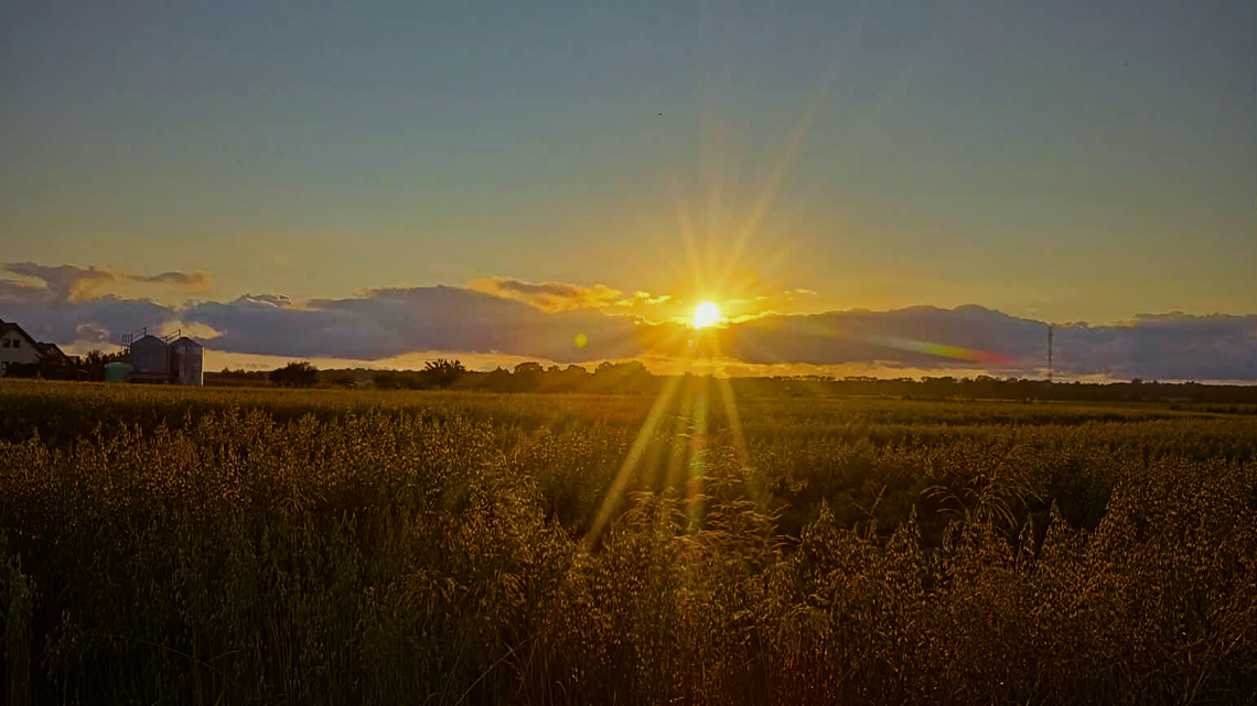 Obraz symboliczny do artykułu
