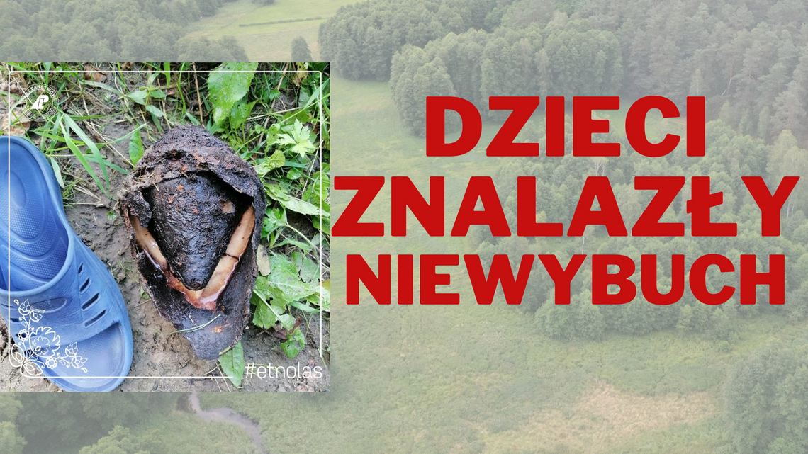 Dzieci znalazły niewybuch w rzece Piławie na terenie Nadleśnictwa Płytnica