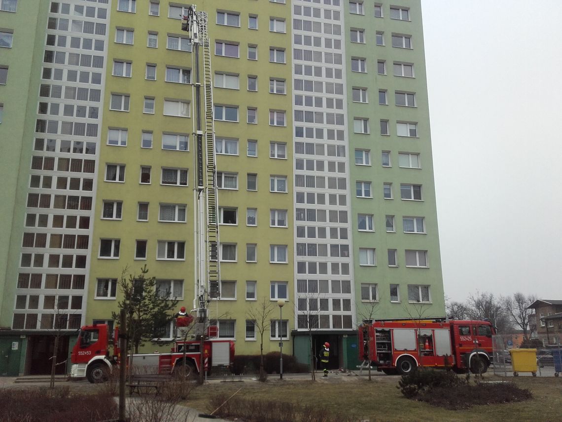 Gaszenie pożarów obiektów wysokich.