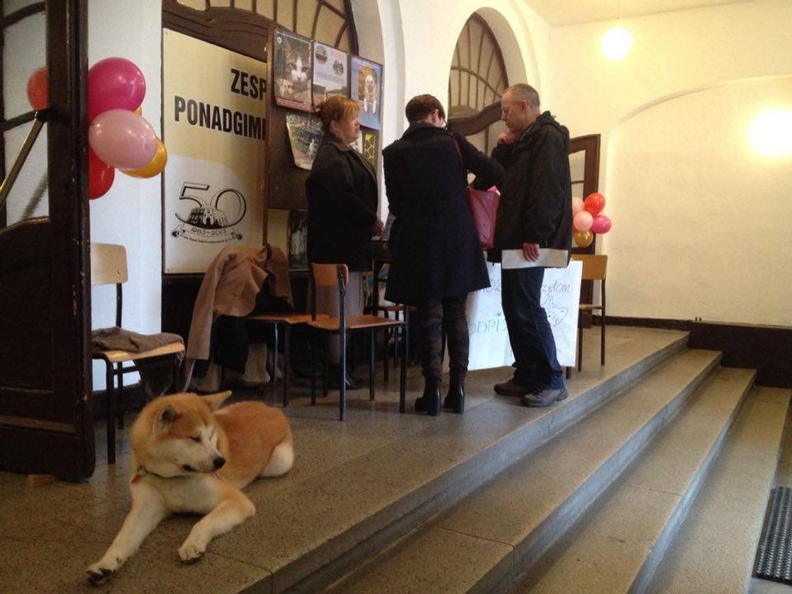 Kobiety kochają zwierzęta !