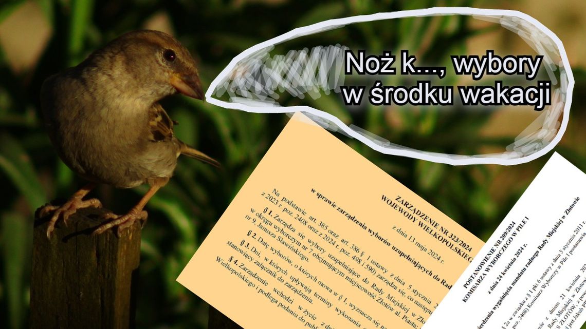 Nie tylko zwolennicy Pieniążkowskiego muszą przełożyć wakacje!