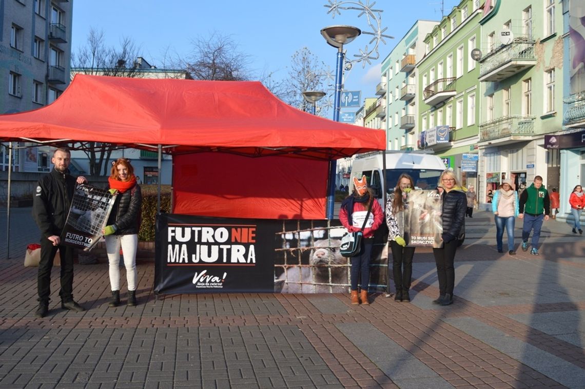 Ogólnopolska Kampania Anty-Futro w Pile 
