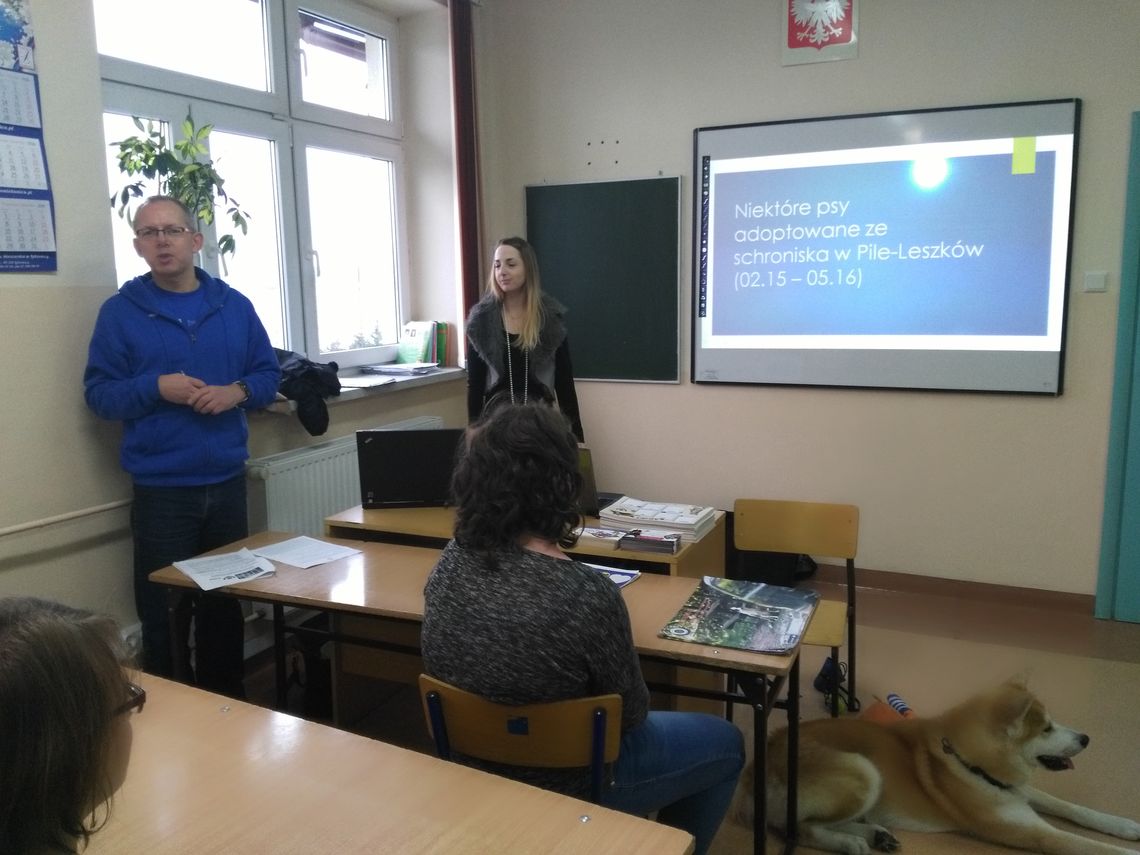 Spotkanie na temat bezdomnych zwierząt