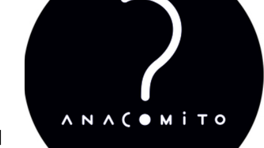 ANACOMITO - Eleganckie nerki - torebki