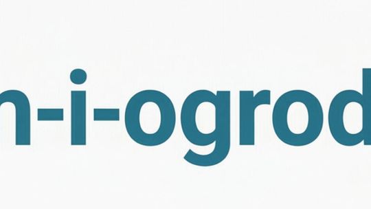 Dom i Ogród 24