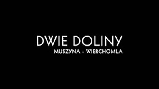 Domki w górach - Wierchomla