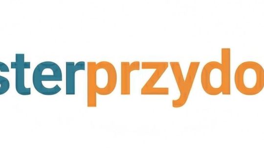 Majster Przy Domu