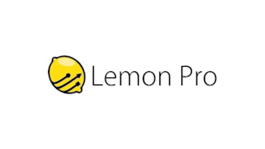 Opieka informatyczna - LEMON PRO