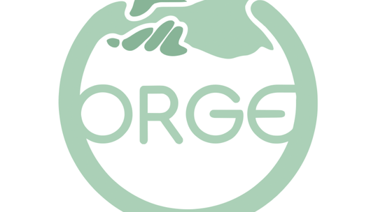 Psychiatra Poznań - ORGE Psychiatria