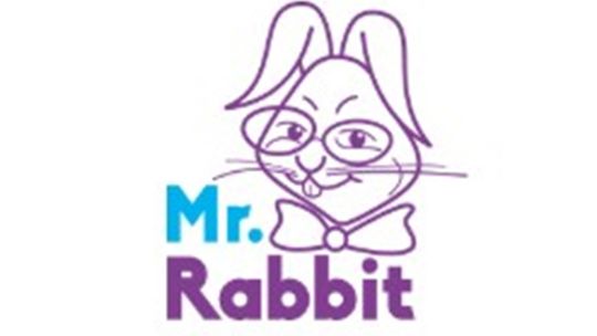 Szkoła językowa MR. RABBIT filia Rubinkowo – Język angielski dla dzieci i młodzieży Toruń
