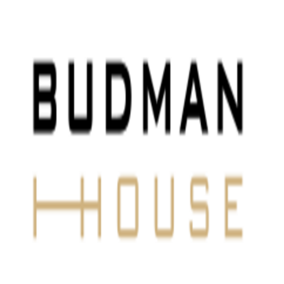 Budman