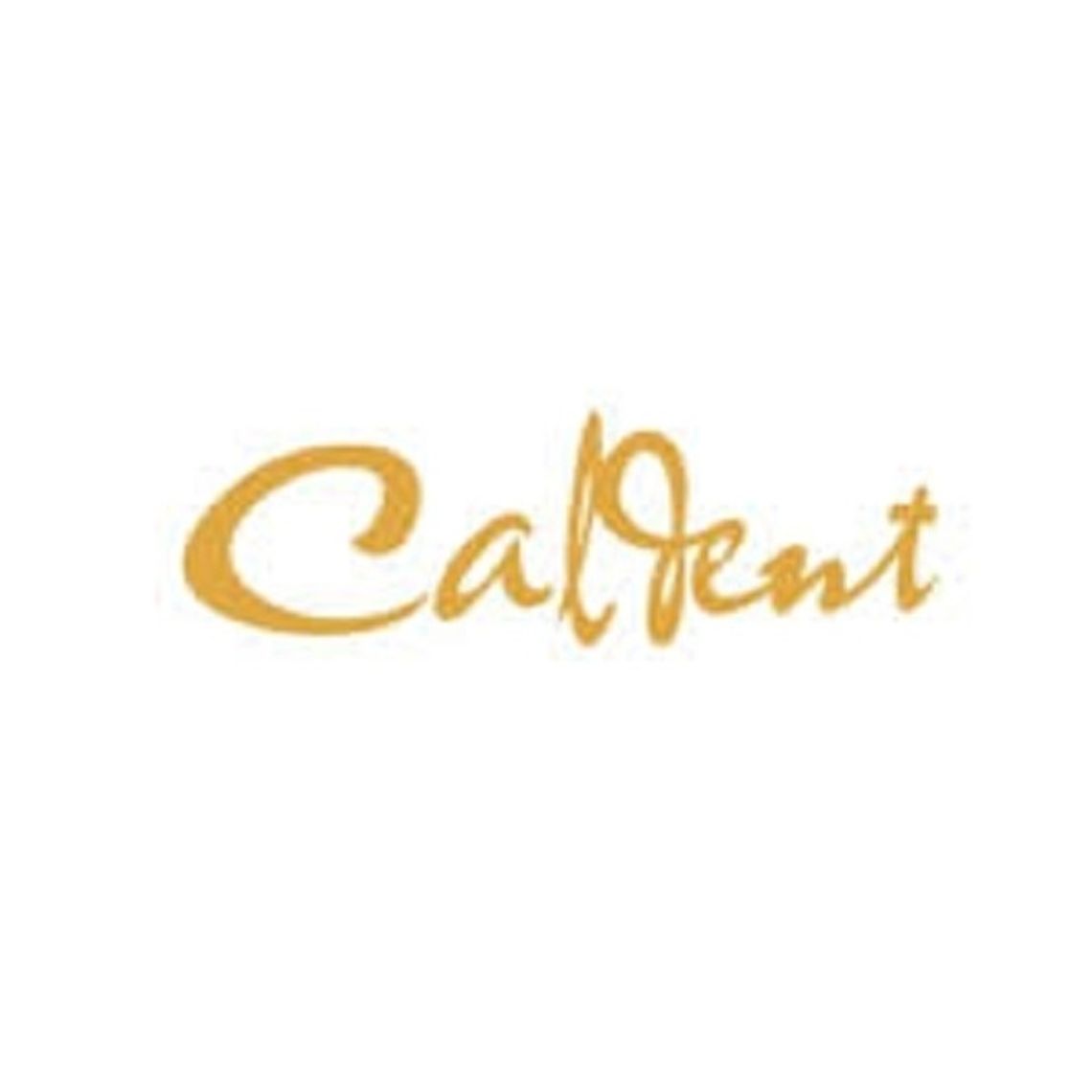 caldent.com.pl