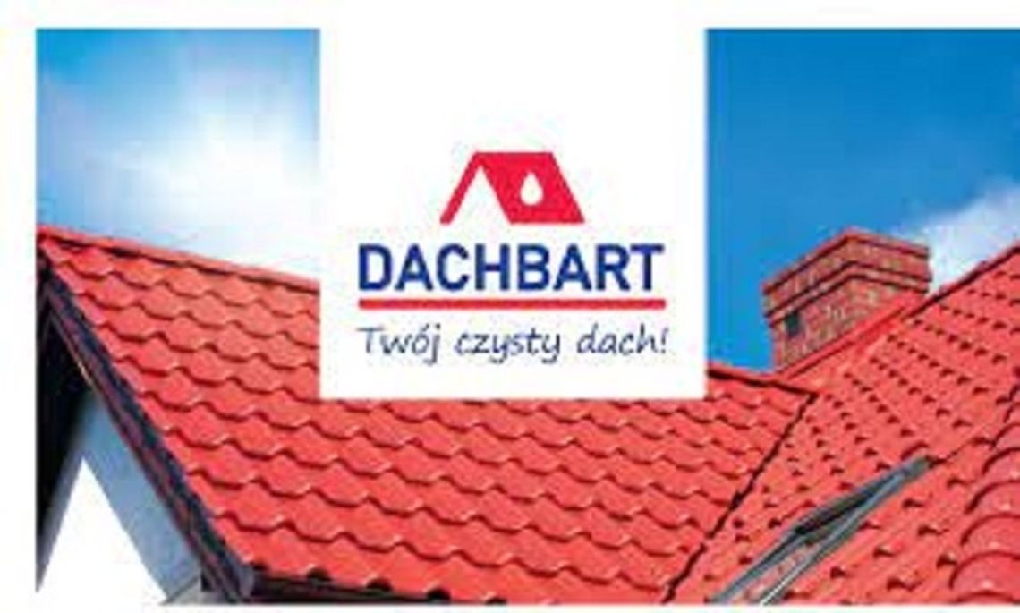 dachbart.pl