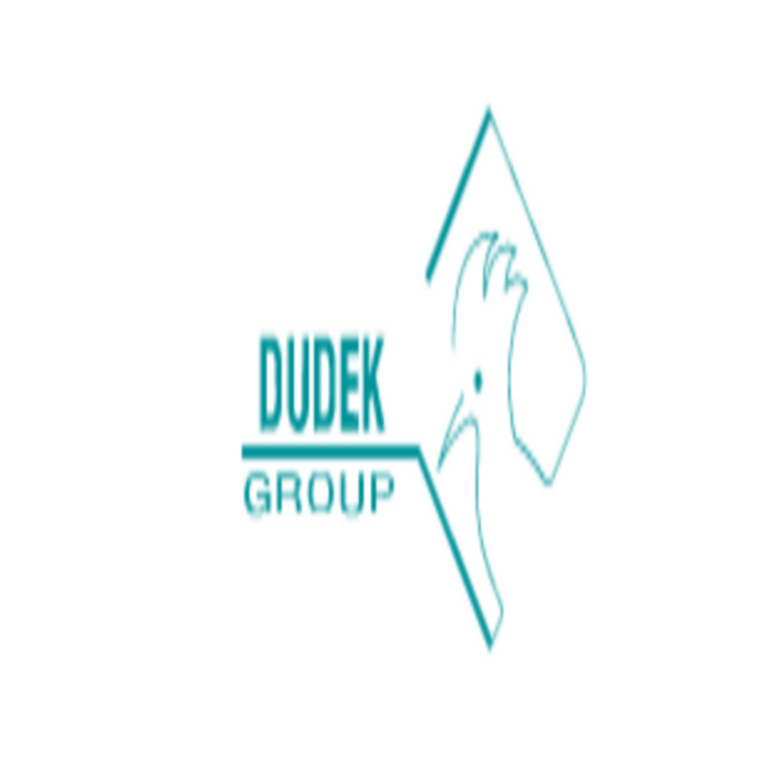 dudek-group