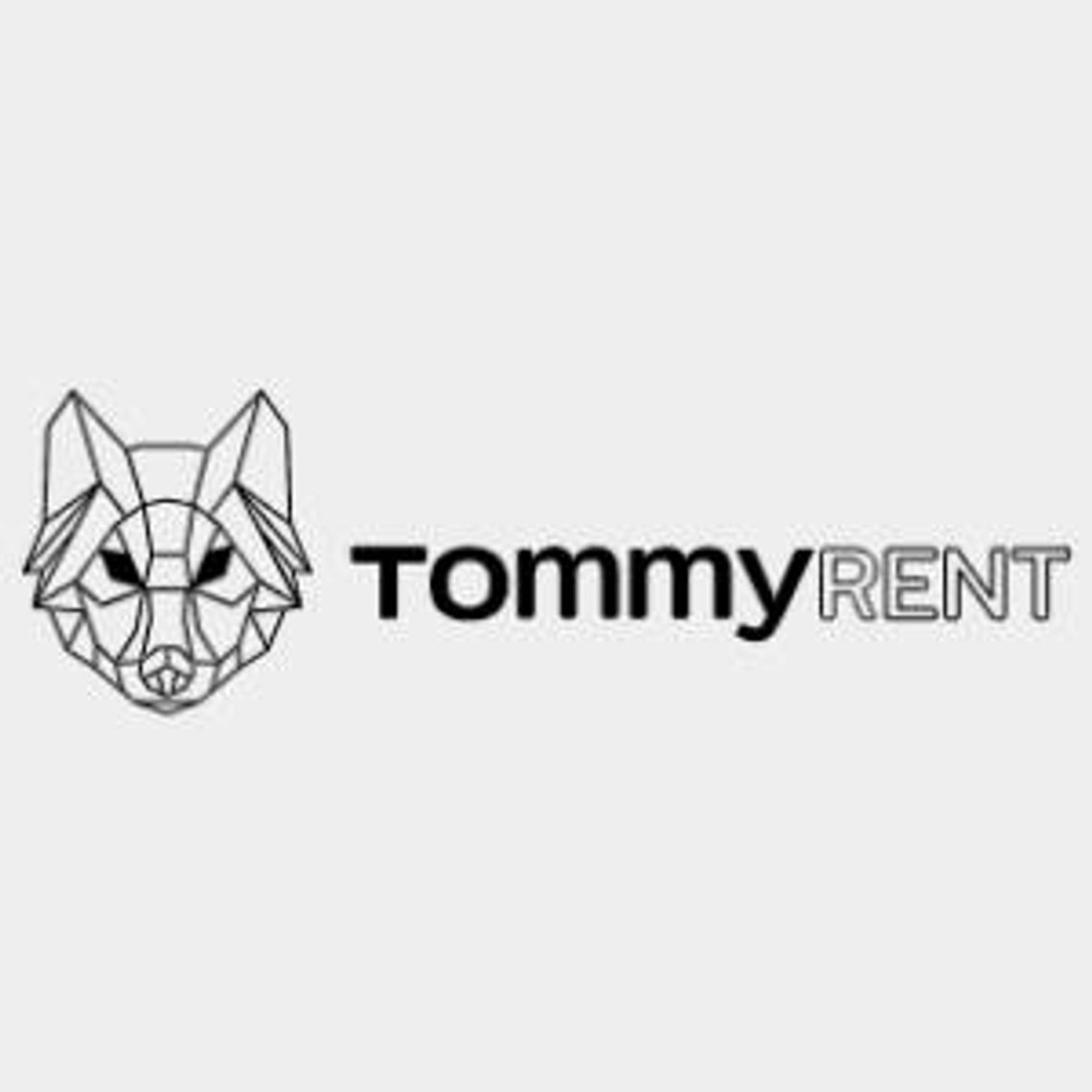 Miejsce na reklamę przy drodze - Tommy Rent