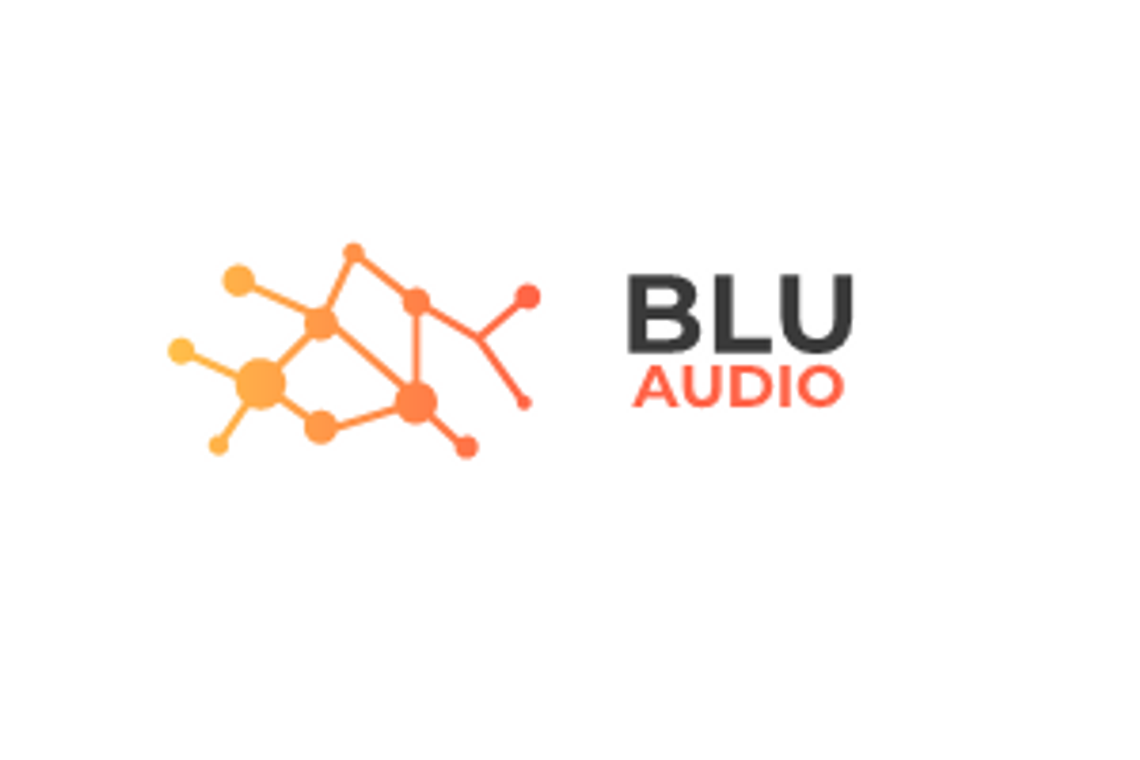 Serwis technologiczny AGD i RTV - blu-audio.pl