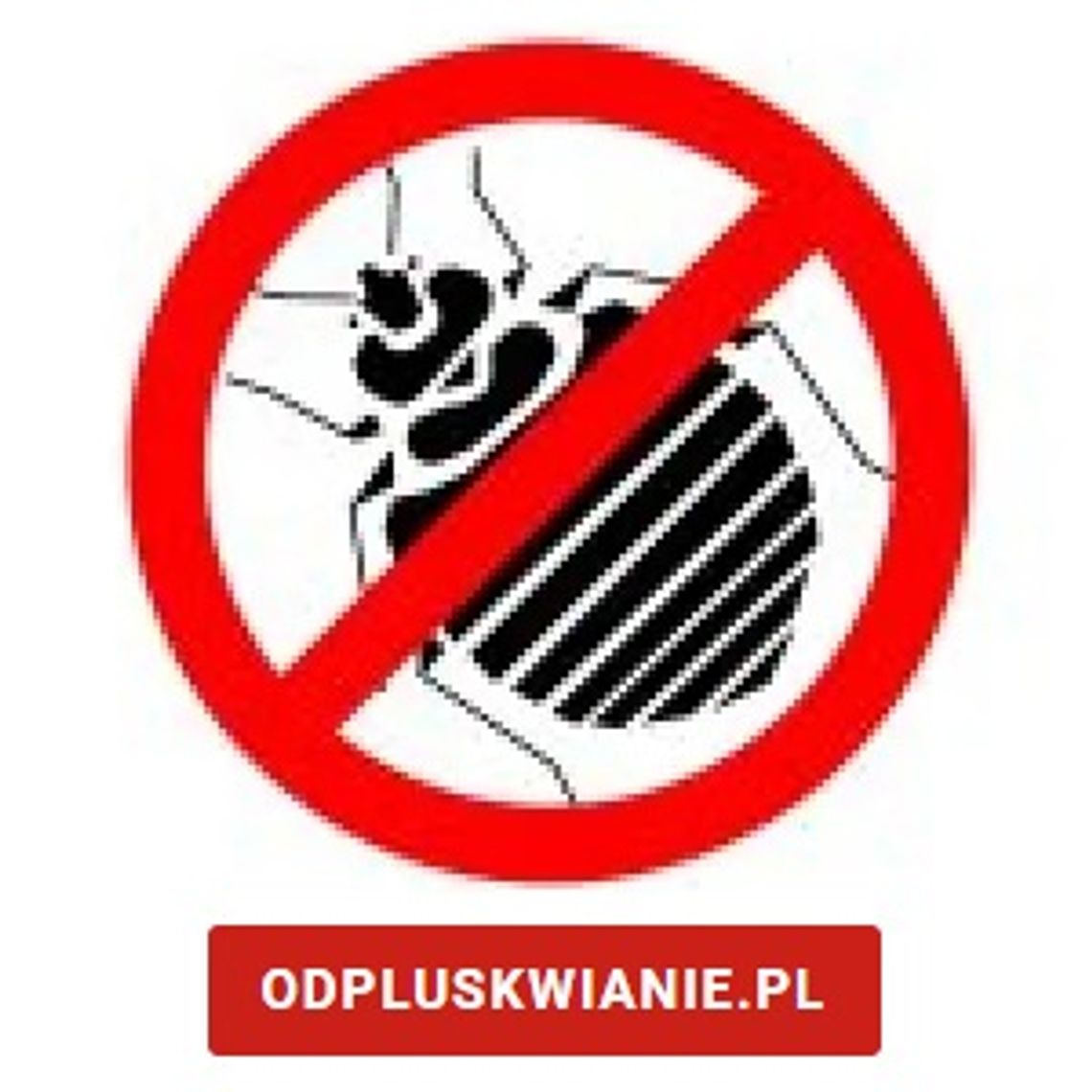 Usuwanie pluskiew w domu - odpluskwianie.pl