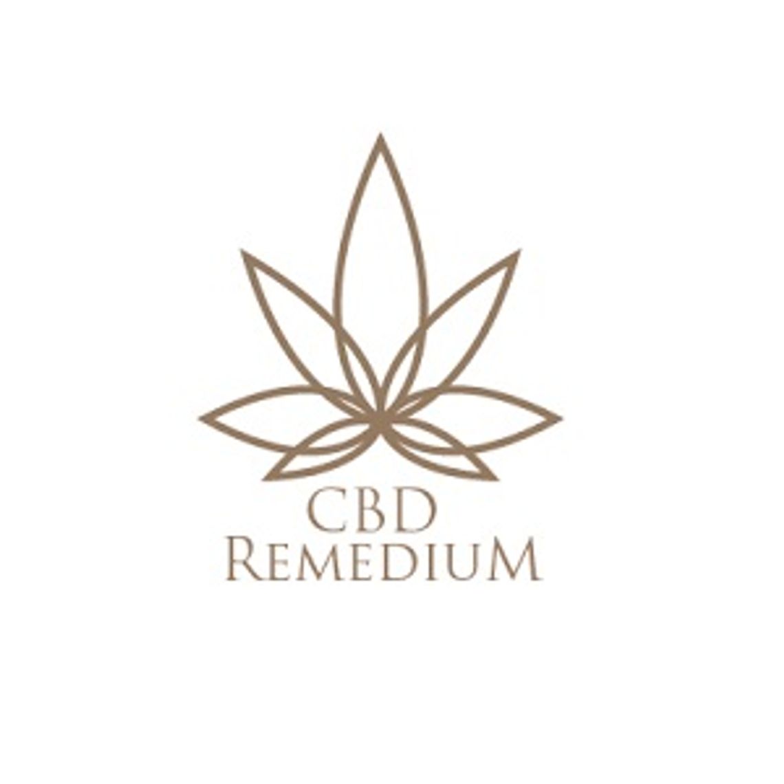 Waporyzatory CBD - CBD Remedium